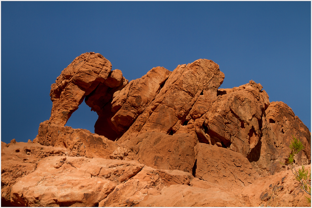 The Elephant Rock